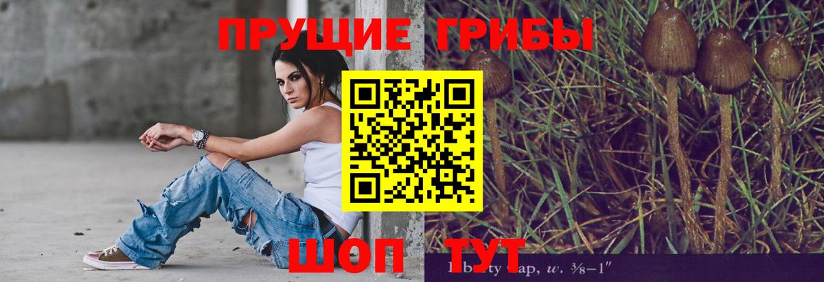 Лениногорск  Галлюциногенные грибы Cubensis  Вход с VPN  Псилоцибиновые грибы мухоморы 